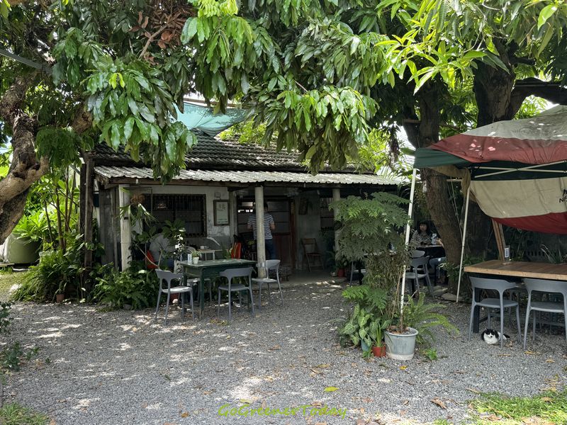 台東_老宅餐廳咖啡廳_橋Chiao 台東_老宅餐廳咖啡廳_橋Chiao